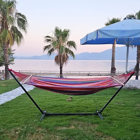 Evia Palm