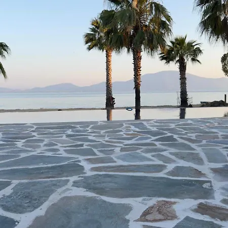 Villa Evia Palm