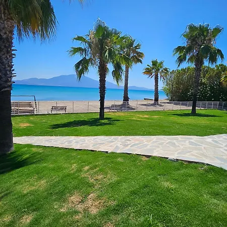 Evia Palm
