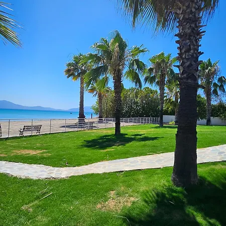 Evia Palm