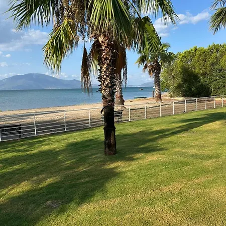 Villa Evia Palm *