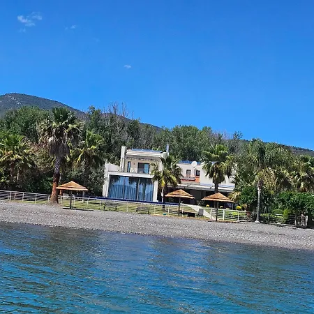 Villa Evia Palm *